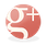 Google+ icon